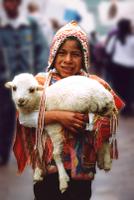The Good Shepard